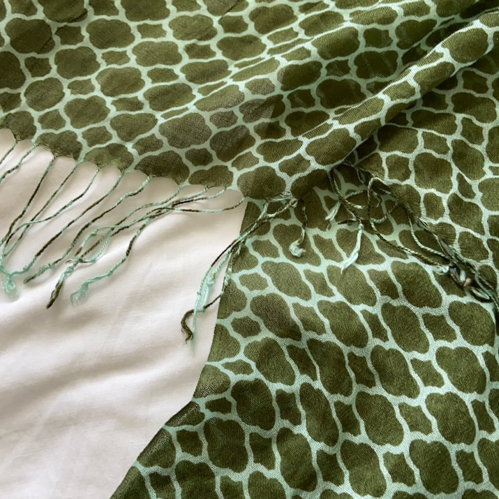 Green and light blue patterned scarf 🧣